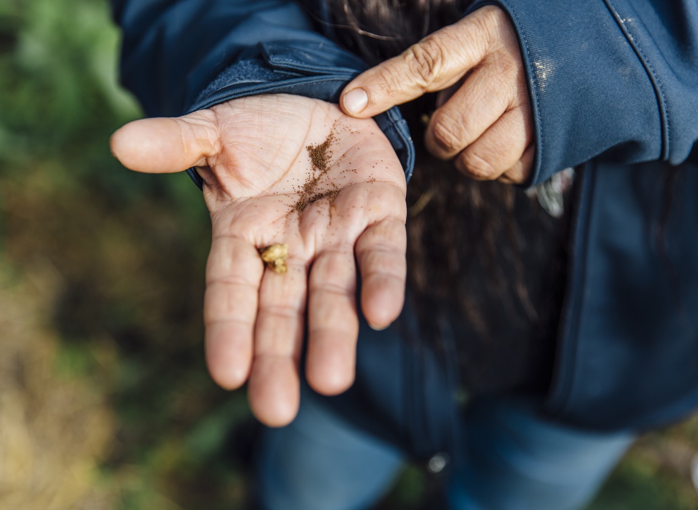 An open palm with seeds in it