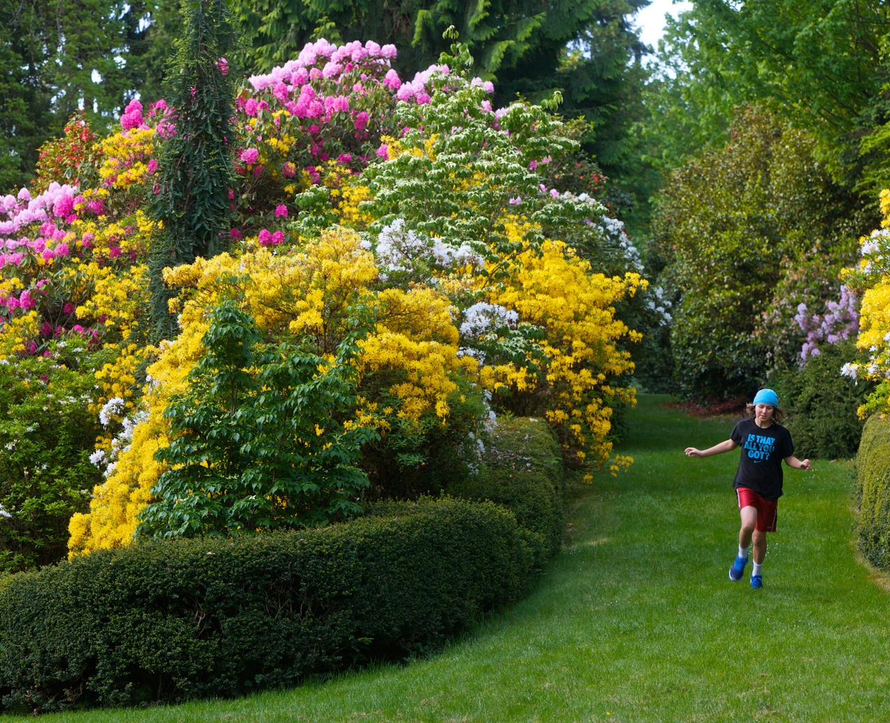 Washington Park The Official Guide To Portland