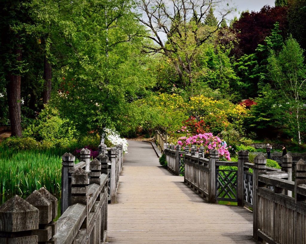 Crystal Springs Rhododendron Garden | The Official Guide to Portland