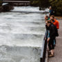 Three people observe a fish ladder