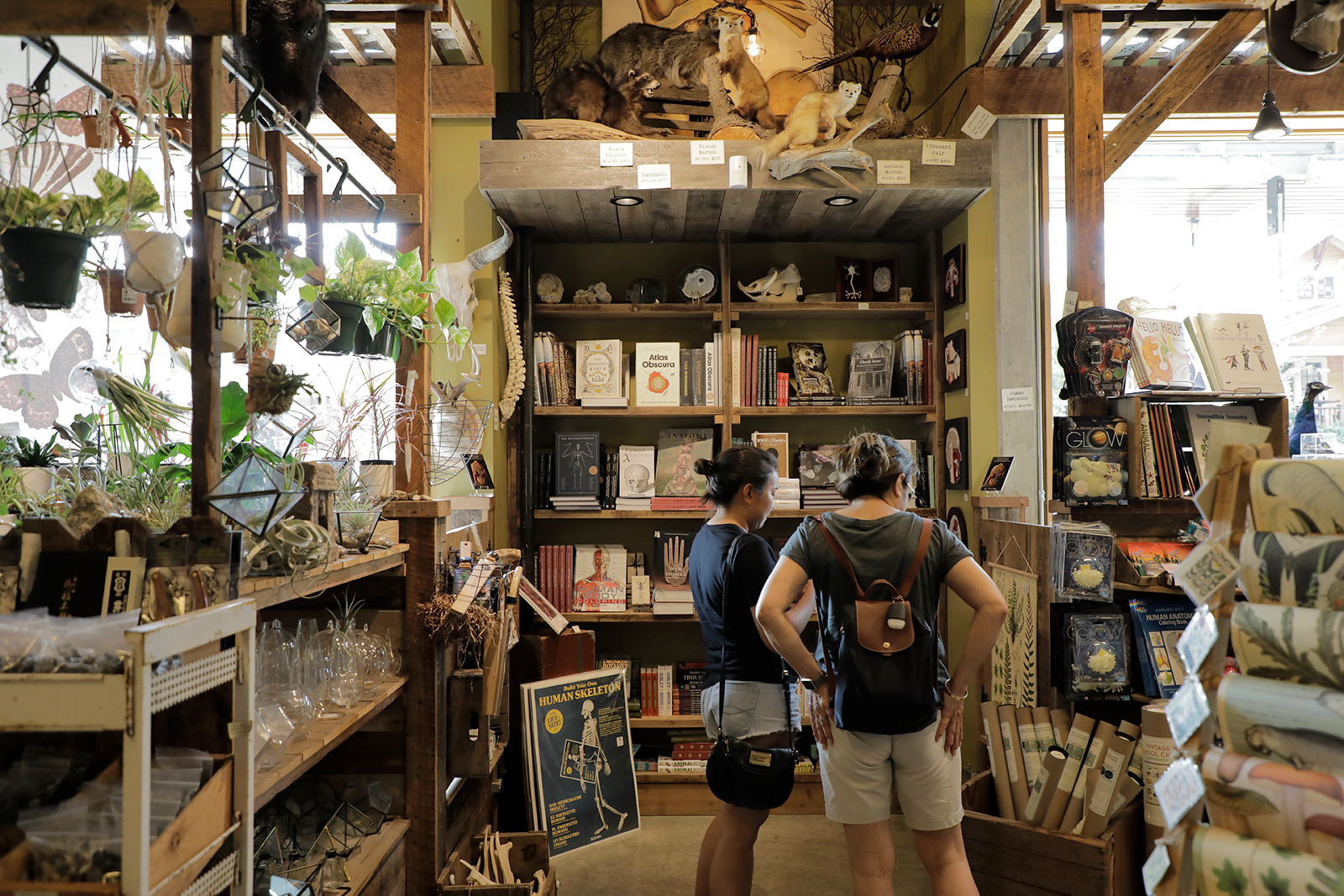 Mississippi The Official Guide To Portland