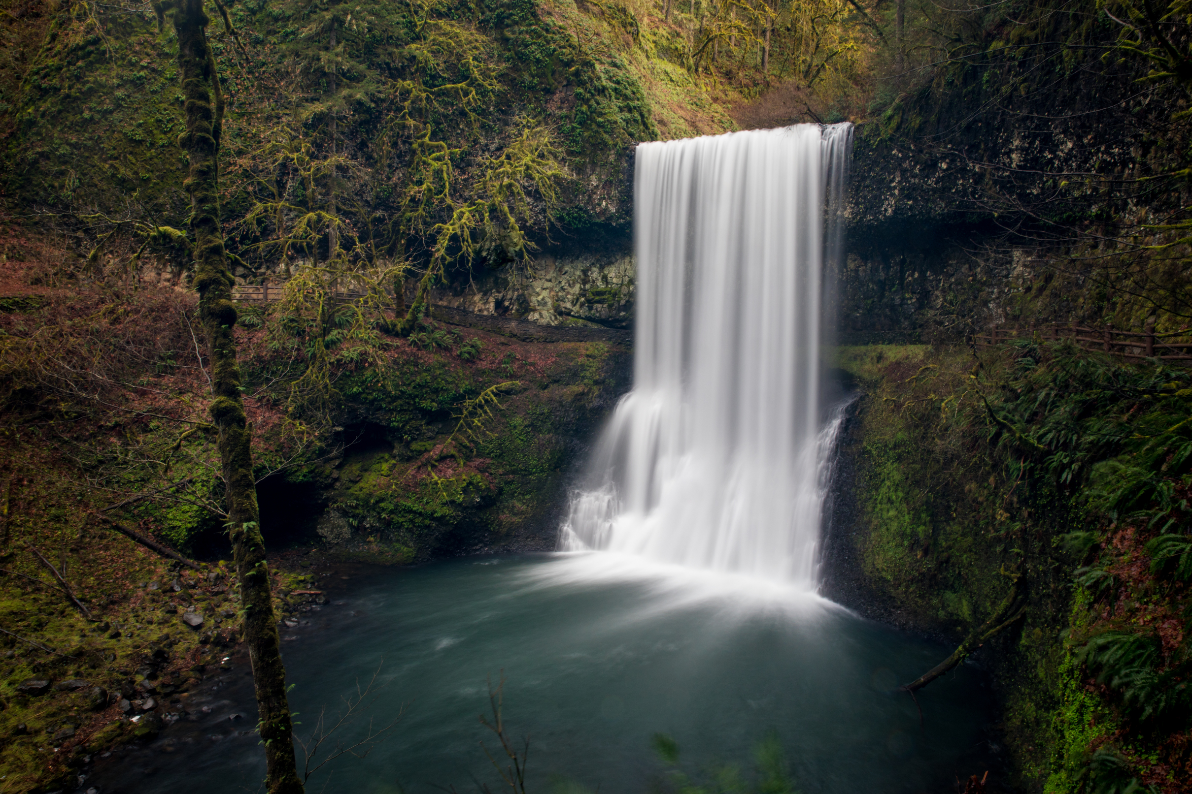Silver Falls State Park The Official Guide To Portland