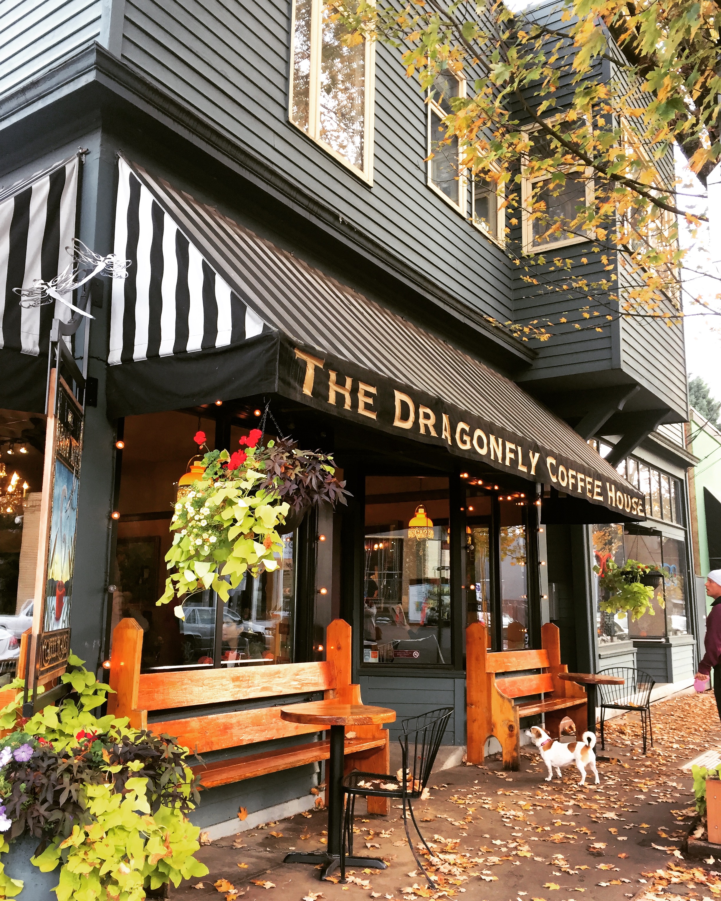 Quiet Places Made For Reading The Official Guide To Portland