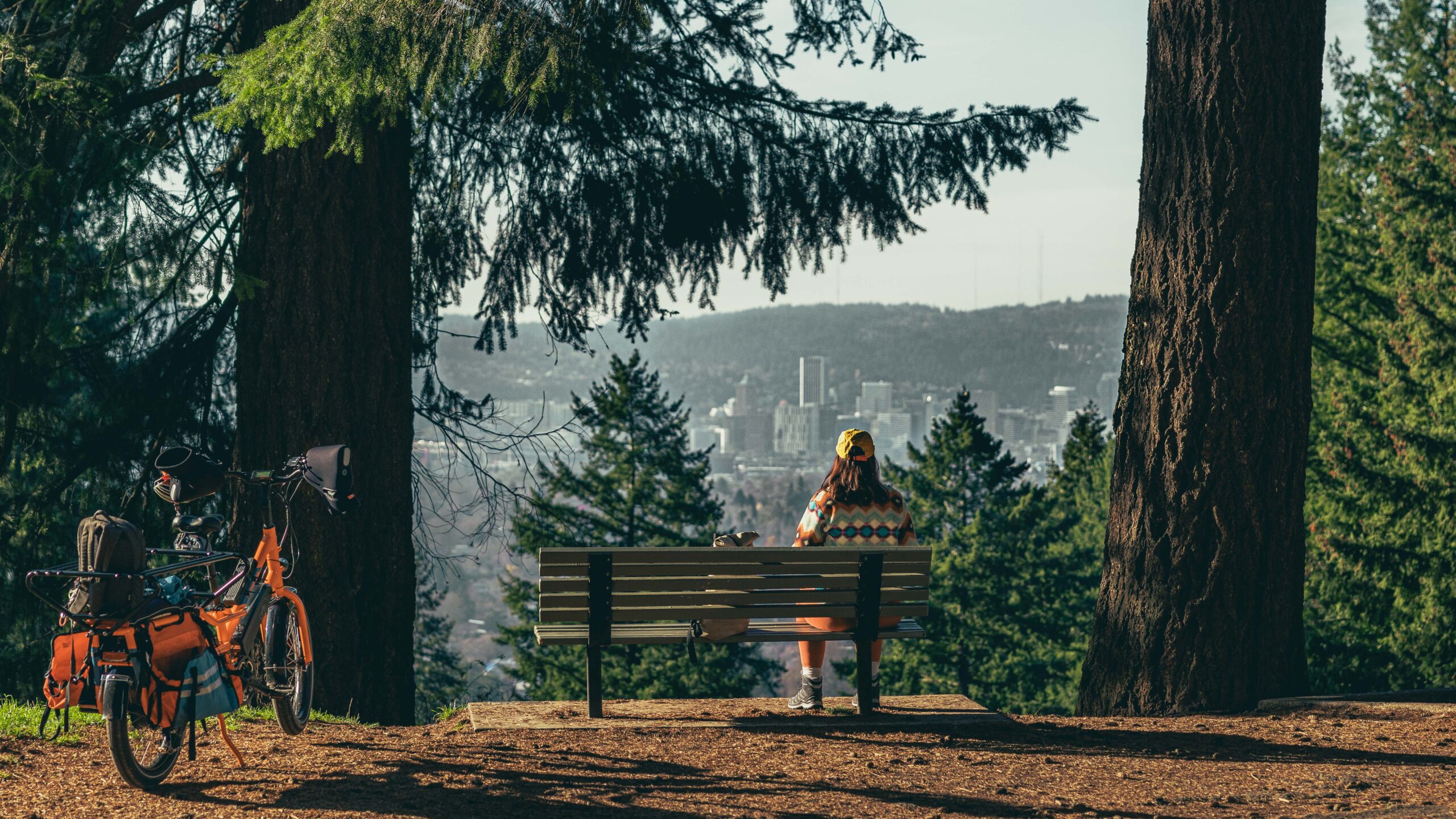 an orange bike stands left of a person sitting on a park bench between two large trees