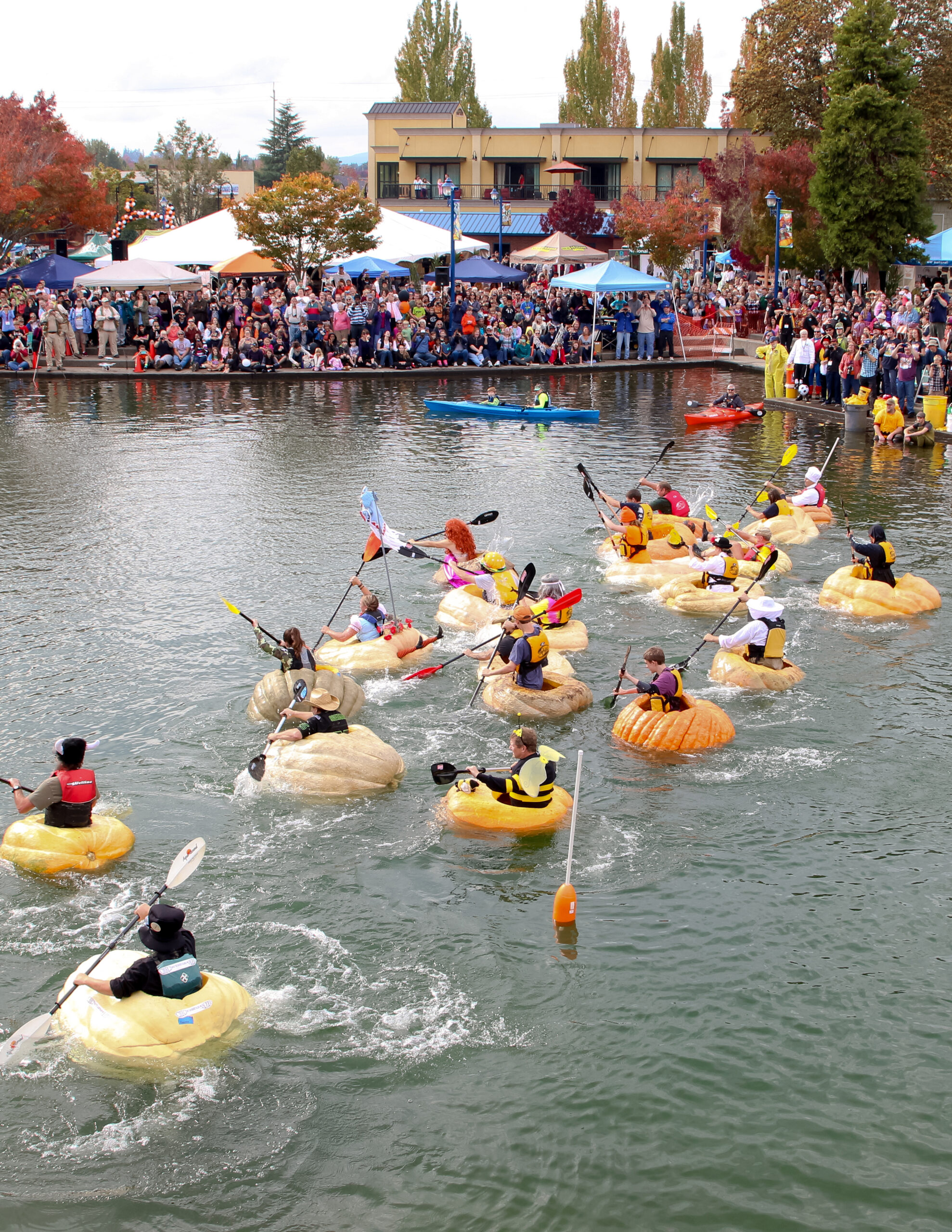 people in costumes paddle boats made of giant pumpkins on a lake while spectators watch on the shore