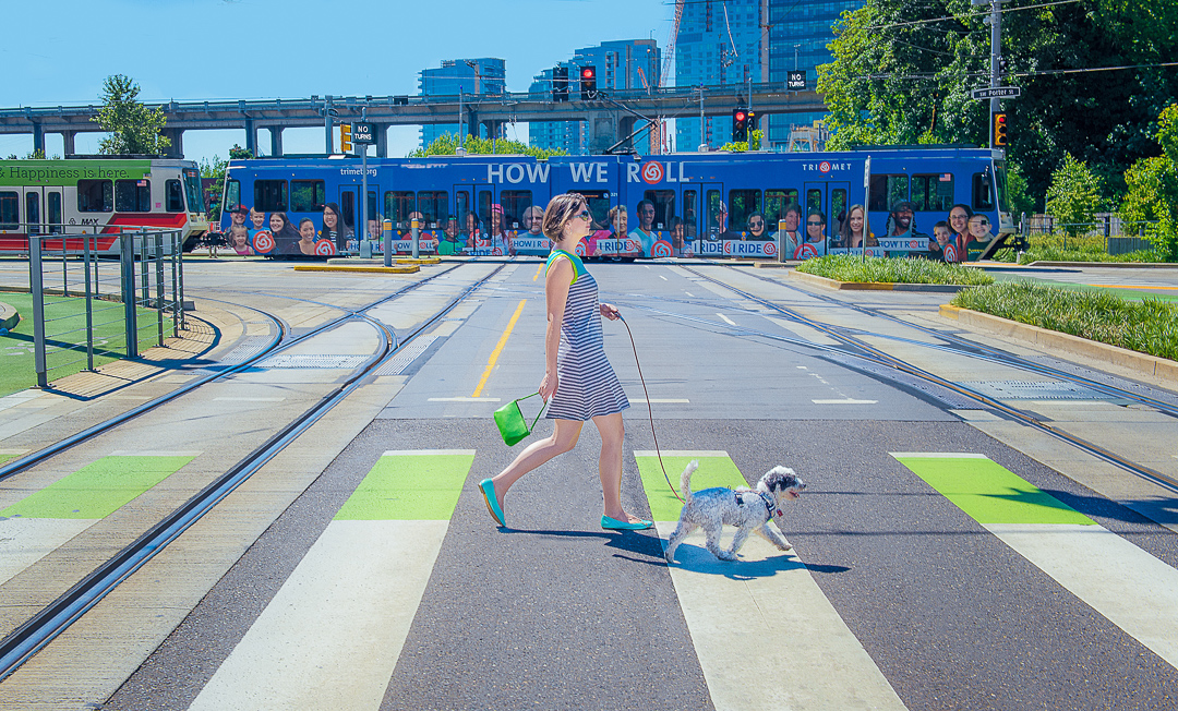 a person walking a dog across a city street