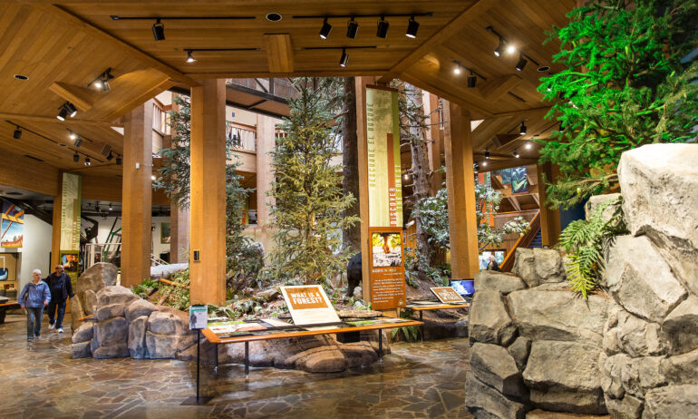 people peruse the large displays of trees and rocks inside the World Forestry Center