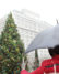 The annual Holiday Tree at Pioneer Courthouse Square is a festive annual Portland tradition.