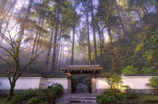 Antique Gate in Winter at Portland Japanese Garden